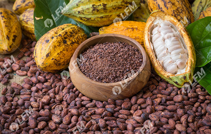 عرض منتجات الكاكاو.jpg