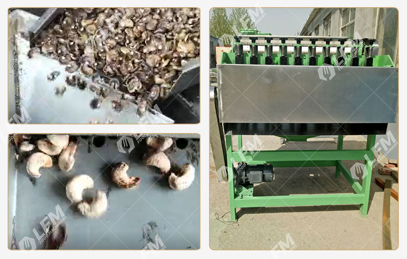 تفاصيل قصف جوز الكاجو.jpg