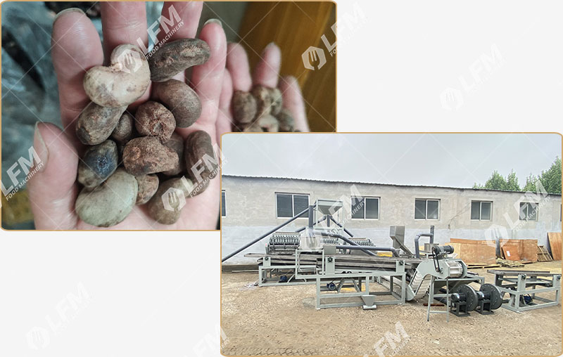 ماكينة طحن جوز الكاجو.jpg