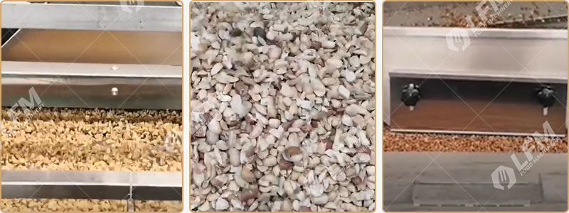 عملية تقشير الفول السوداني.jpg