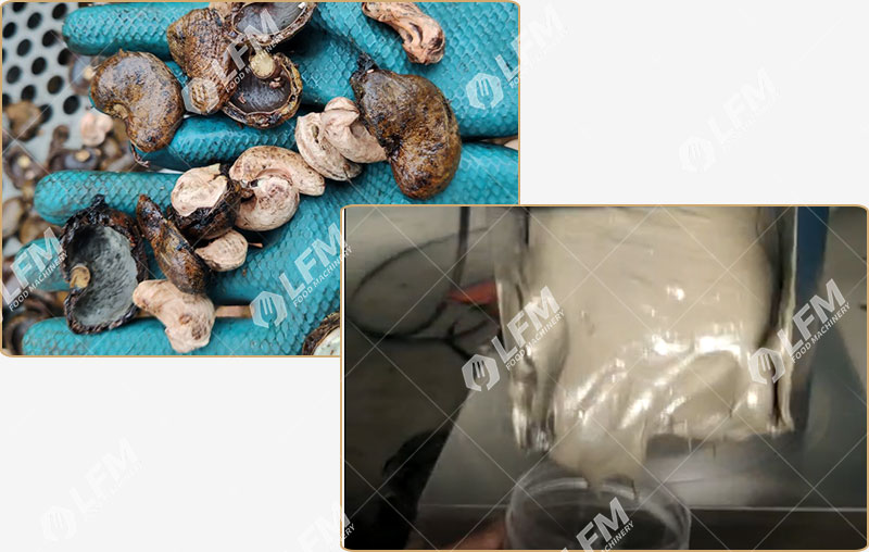 خط إنتاج معجون الكاجو.jpg