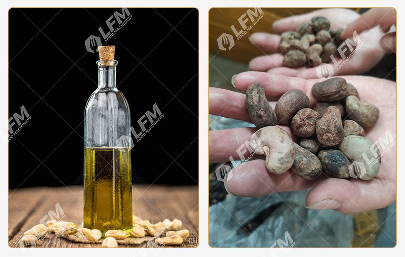 معصرة زيت قشرة جوز الكاجو.jpg