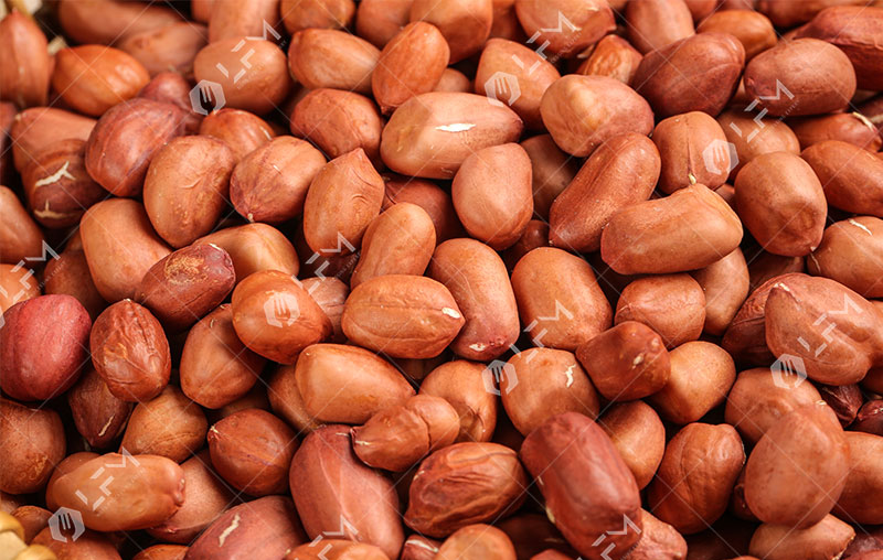 إطلاق مشروع تجاري للفول السوداني المحمص، مشروع تجاري للفول السوداني المحمص الجاهز للأكل.jpg