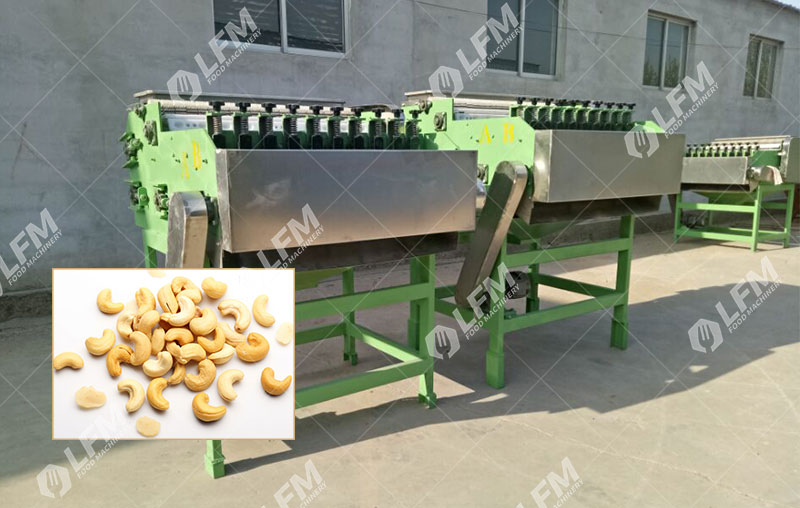 عرض معدات قصف جوز الكاجو.jpg